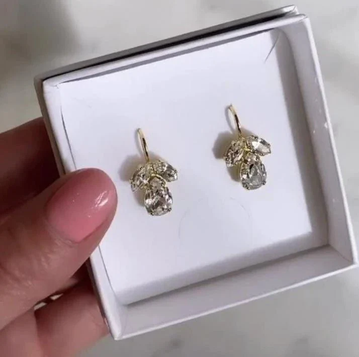 Caroline Svedbom Silver Petite Timo Crystal Earrings - Image 3