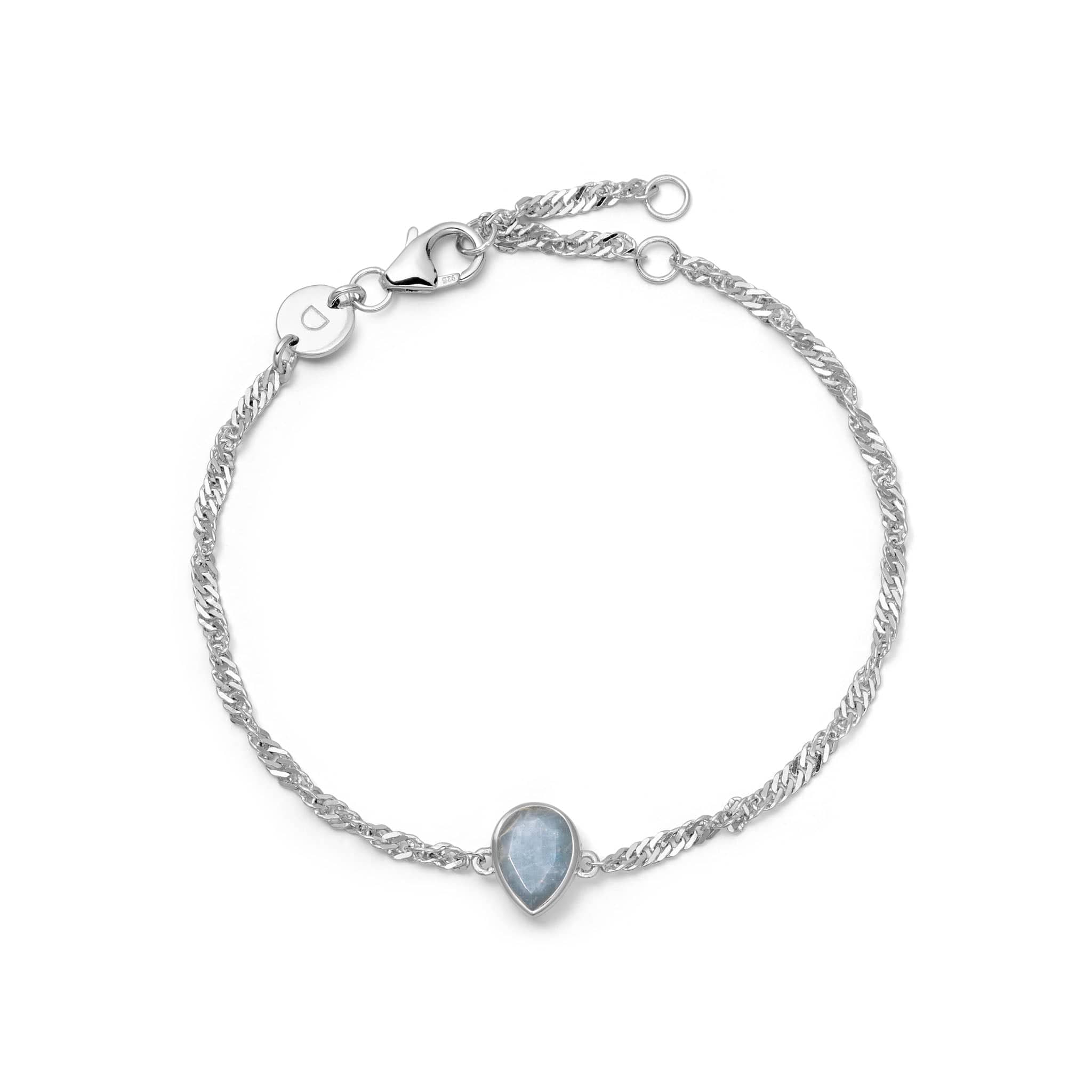 Daisy London Sterling Silver Birthstone Charm Bracelet - Image 17